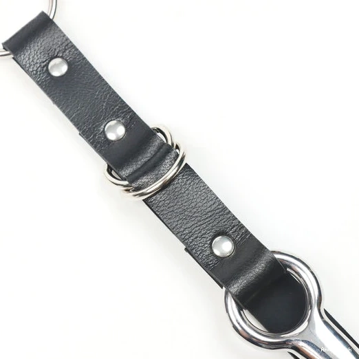 Kinky Leash Anal with 5853 EverydayUse Collar and Hook 0626